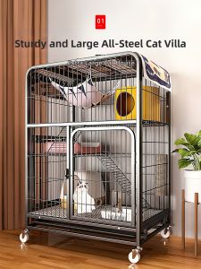 Zhifan | Indoor Large Space Multi-functional Cat House