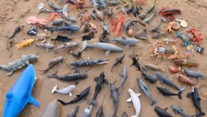 Marine Animals Model Simulation Aquatic Model PVC Ocean Creature Fishes Shark Whale Dolphin For Kids