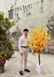 Cây hoa đào giả - Cây mai giả - Size từ 140cm đến 200cm - Cây giả hoa lụa Decor trang trí nhà cửa