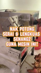 Commercial Vegetable Cutter | Food-Grade Conveyor Belt | Efficient Stainless Steel 200kg/h Output