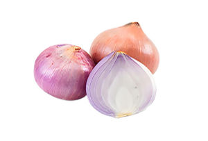 Professional Dates Dryer Machine Date Palm Drying Machine Jujube Dryer Machine