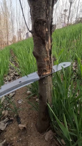 ใบมีด SK5 ตัดเร็วบิน 99 เท่า เลื่อยพับแบบพกพา เลื่อยตัดแต่งกิ่งไม้ เลื่อยตัดกิ่งไม้สูง มีดเลื่อยอบ่างดี เลี่อยตัดไม้ เลื่อย เลื่อยตัดกิ่ง เลื่อยมือพกพา เลื่อยมือตัดไม้ เลื่อยตัดไผ่ เลื่อยกิ่งไม้ เลื่อยพกพา เลื่อยมือต้นไม่ใหญ่