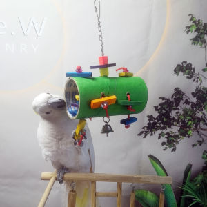 Small Sun Monk Keke Sunflower Grey Parrot Bird Cage Bite Grinding Mouth Ring Swing Toy for Parrots Pet Supplies