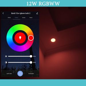 [2 PCS] BARDI Smart LED Light Bulb RGB+ WW 12W Wifi Wireless IoT Home