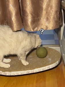 Peppermint toy edible cat peppermint balls safe and healthy for cats eucalyptus cats indoor chasing game toy for cleaning