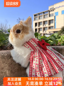 Japanese Style Floral Rabbit Clothes Cute Dress Pet Rabbit Pygmy Rabbit Cat Cat Rabbit Lop Eared Rabbit Hand Holding Rope
