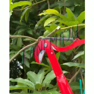 Gunting Pokok Dahan / Gunting kait buah / Rambutan ricih GUNTING / RAMBUTAN DUA MATA PISAU / DOUBLE bilah ricih/A038.2