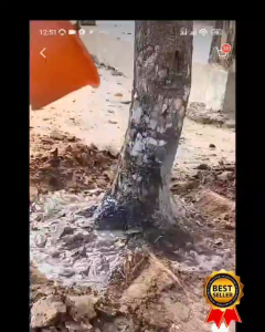 PHS Pupuk Booster 66 - 500ml - HORMON ZPT PEMBUAHAAN DAN PEMBUNGAAN