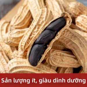 Đậu Phộng Đen Giàu Selenium Tốt Cho Sức Khỏe Đã Rang