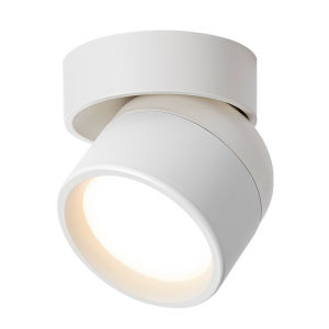 DENGFU | Rotatable Adjustable Spotlight Ceiling Light