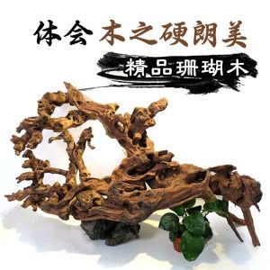 Boutique Agarwood Large Coral Chinese Block Grass Tank Landscaping Original Natural Drift Wood Decorative Tree Root Azalea Root New Product