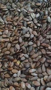 1 kg -500gr Hạt dưa loại đặc biệt thương hiệu Thành Công Túi- date mới