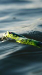 เหยื่อปลอม RAPALA PRECISION XTREME PENCIL FRESHWATER PXRP87