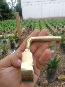 KLEM PIPA EGREK KLEM EGREK