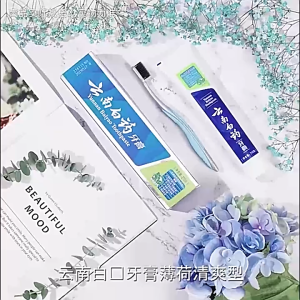 Yunnan Baiyao Spearmint Toothpaste for Bleeding and swollen gums bad breath and fresh breath.