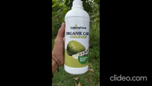 PUPUK KOTORAN WALET | COR ORGANIK BUAH SIRSAK | Terbuat Dari Kotoran Walet Asli | Fermentasi 41 Hari