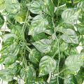 Cây nhân tạo dây leo treo tường mô phỏng cây leo treo tường trong nhà cây xanh trang trí tường giả hoa cây mây. 
