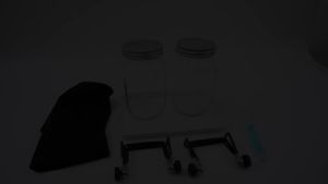 Sprouting Lids With Stainless Steel Screen For Two Wide Mouth Mason Jars Germination Kit Sprout Maker Seedling Tray Dropshipping