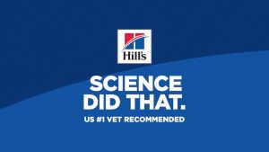 [Bundle Of 4] Hills Science Diet Adult Sensitive Stomach & Skin Small & Mini Chicken Recipe Dry Dog Food 1.8kg