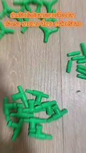 MS ROYAL กระเป๋าที่สุดสำหรับกับสายยางเลี้ยงปลา (ต่อตรง: สามทาง สี่ทาง วาล์วปรับลม) ท่อแยกลม 3 และ 4 ทาง