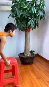 KOVEX 2 Pieces Refrigerator Door Lock Strong Adhesive Freezer Door Lock File Drawer Lock Child Safety Cupboard Lock Key with【COD】