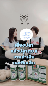 อีเอ็มบอลโต๊ตโตะ เพื่อบ่อเลี้ยงสัตว์น้ำ บรรจุ 60 ลูก พร้อมส่ง