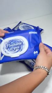Khăn Ướt Đi Toilet Flushable EcoWipes Gói 60 Tờ Khăn Lau Vệ Sinh Tự Phân Hủy Trong Nước