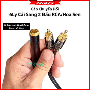 Cáp Chuyển Đổi Jack 6 Ly Cái Sang 2 Đầu AV Hoa Sen dài 50cm | jack chuyển 2 av ra 6ly cái dây 6ly cái ra 2 av hoa sen jack chuyển 6ly cái ra 2 av.