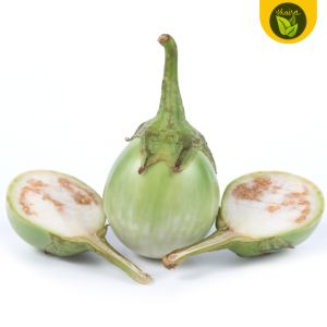 50 seeds for planting binhi pantanim aurora eggplant