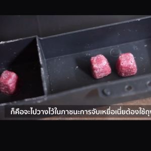 ยากำจัดหนู ของแท้มี อย.ราคาส่ง ยาเบื่อหนู ยาฆ่าหนู เหยื่อหนู โบรมาดิโอการ์ด กำจัดหนู ฆ่าหนู