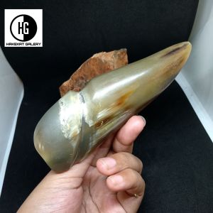 once pipa rokok tanduk kerbau bule model unik h145