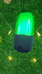 Pembesar Suara WEKOME WATERPROOF IPX67 BELUGA RGB COLORFUL LIGHTS OUTDOOR WIRELESS PORTABLE SPEAKER D13 BLACK