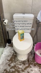 DESANS Pine Gel Disinfectant 1L – Multi-Purpose Cleaner for Toilets Kitchens Cat Cages & Floors | Strong Odor Control & Anti-Bacterial Formula.