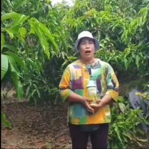 ปุ๋ยน้ำแมกม่า-ลาวา (ชุดใหญ่2ขวด) บรรจุขวดละ1ลิตร สารเสริมประสิทธิภาพ ปุ๋ยทางใบKaideeshop888 ของแท้100% มีเก็บเงินปลายทาง