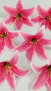 [1 PCS] Kuntuman Bunga Lily Tiger Artificial / Kelopak Lili Casablanca Artifisial Import Dekorasi untuk Hiasan Buket Rangkaian  dan Dekorasi Wedding Pelaminan