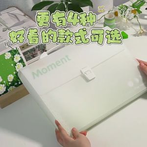 13 Larg Capacity Gradient Accordion Bag Storage Portable Waterproof Document Bag