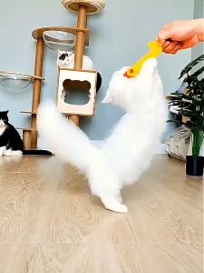 ตุ๊กตาแคทนิป เสริมสร้างความสนุกสนานกับสัตว์เลี้ยง คลายความเหงา ราคาถูก พร้อมส่ง