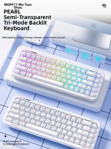 Mofii | Jelly Aesthetic RGB Backlit Wireless Tri-Mode Keyboard