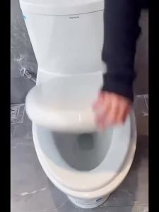 Super Promotion【 BUY 1 GET 3 items】3pc toilet Cleaning Household Tile Cleaner 500G Pine fragrance