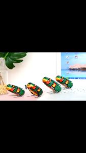 Đồ Chơi Ếch Xanh Biết Nhảy