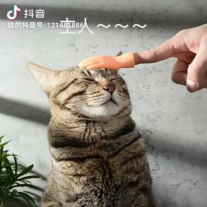 Tiktok Fingers Cat Toys Hands Playing Cat Petting Finger Stall Small Fingers [4s Gesture]撸猫手指玩具