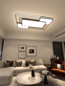 20 ปี โคมไฟติดเพดาน ผู้ชาย ระยะ 200mm สำหรับห้องนั่งเล่น ห้องรับประทานอาหาร ห้องนอน Ceiling Lights สำหรับการสร้างสรรค์บ้านตกแต่งแสง แสงระเบียง