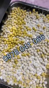 Máy vo viên ST106 size 8mm vo viên hà thủ ô nghệ mật ong chạy điện