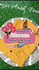 Kemeja Anak Laki Laki Umur 1-14 Tahun lengan pendek import ready 14 warna favorit lengkap