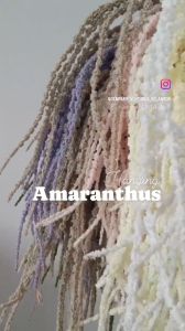 1 pc 43" Tanaman Gantung Buatan Mutiara Imitasi Tali Tanaman Palsu Hijau Amaranth Bunga Hiasan Dinding Air Mata Kekasih Pernikahan Dekorasi Taman Rumah