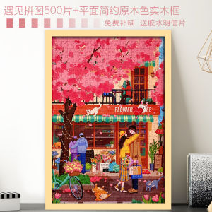 Adult Version 500 Piece Puzzle High Difficulty Brain Teaser Toy Frame Included Stress Relief Gift for Couples Birthday