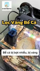 Lọc váng mini Cherlam Tích Hợp Dán Mưa Cho Bể Cá Cảnh