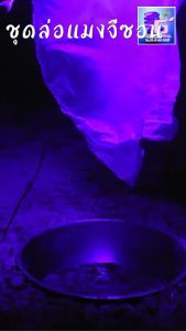 อะแดปเตอร์ ต่อลำโพงฮอร์น ดักแมงจีซอน Adapter 12V2A หม้อแปลงไฟ 12V