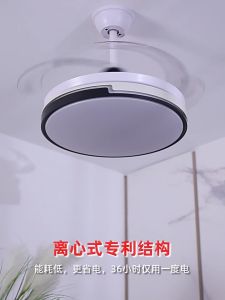 Modern Ceiling Fan with Light & Pure Copper Motor