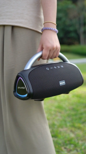 AWEI KA39 100W Bluetooth Speaker